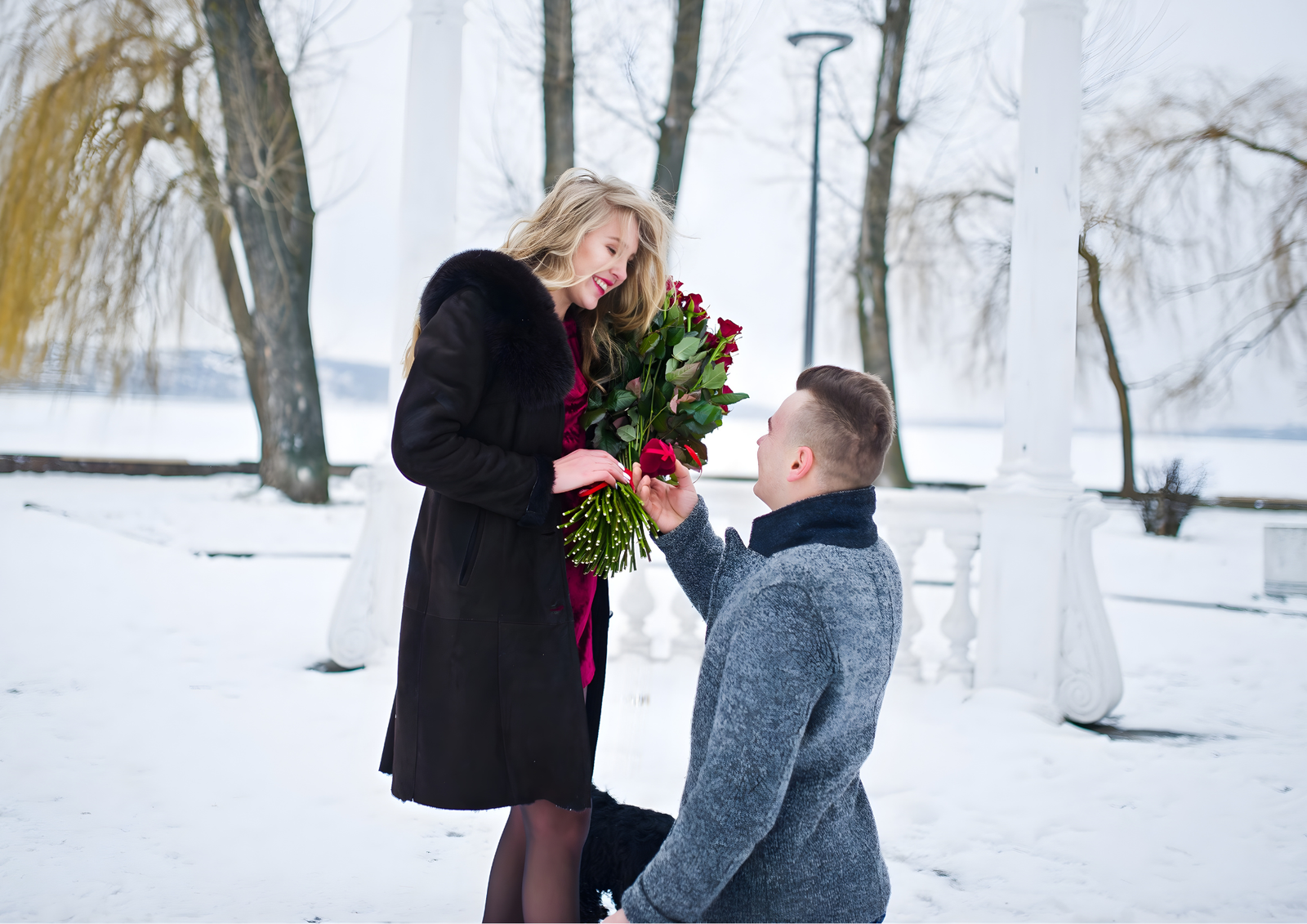 Valentine’s Day proposal with bouquet of red roses outdoors.