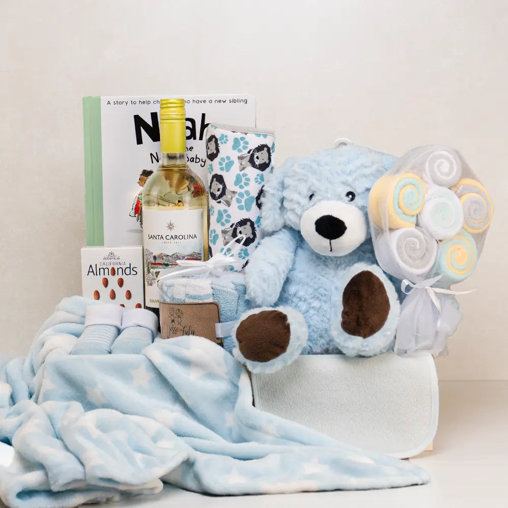 Newborn Love & Luxury Basket with Santa Carolina white wine, a blue plush dog, Noah and the New Baby book and a star blanket